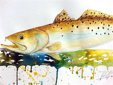 A Year On The Fly: Painting The Speckled Sea Trout (#3 Saltwater Series)