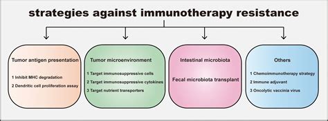 Frontiers | Mechanism and strategies of immunotherapy resistance in ...