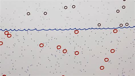 Albert Einstein's theory of Brownian motion | Britannica