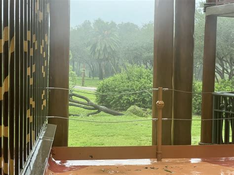 PHOTOS: Minimal Flooding and Damage at Walt Disney World Resort Hotels ...