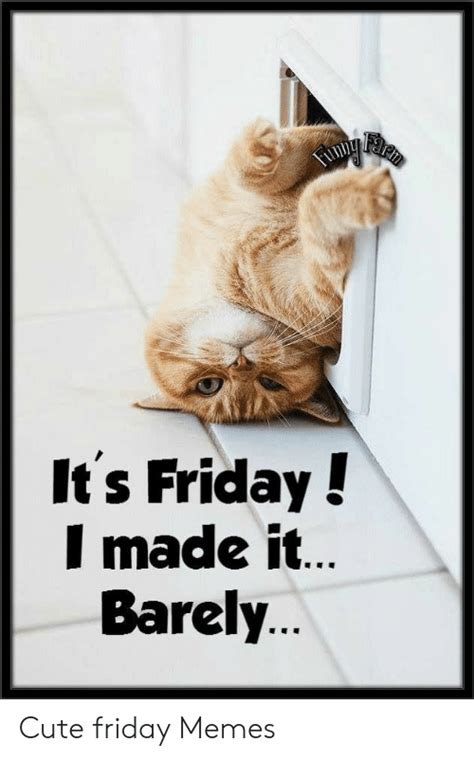 Memes About Happy Friday Funny Meme ... | Friday quotes funny, Funny friday memes, Friday humor