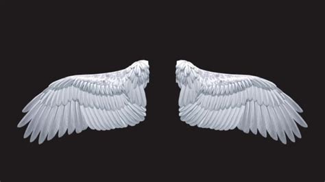 Angel Wings 3D Model // RenderCrate - Free & HD Objects