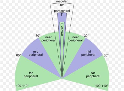 Peripheral Visual Fields Signs Medschool | Images and Photos finder