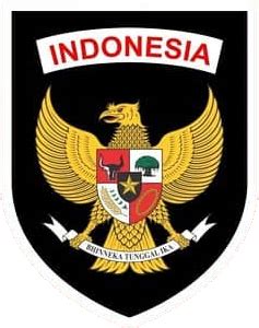 Indonesia national football team | Logopedia | Fandom