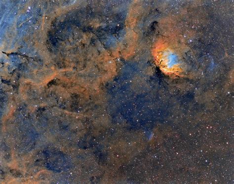 Sh2-101 (Tulip nebula) in Hubble palette | The Tulip Nebula,… | Flickr