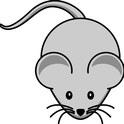 Mouse Clipart transparent PNG - StickPNG