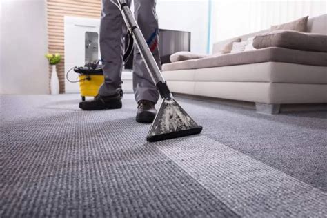 14 Best SF Carpet & Rug Cleaners to Sanitize Floors in 2021