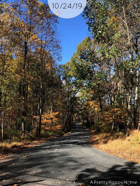 Fall Colors in New Jersey – A Pretty Happy Home