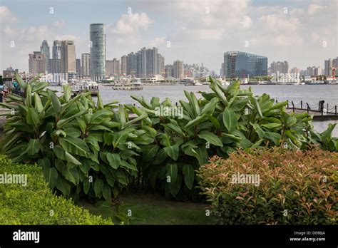 View of the Shanghai skyline from the riverside promenade Pudong area of Shanghai, China Stock ...