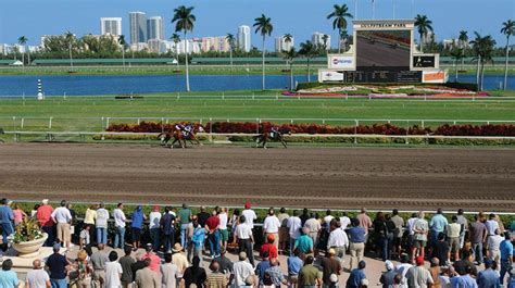 Gulfstream Race Track And Casino - gramyellow