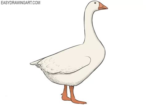 How to Draw a Goose - Easy Drawing Art