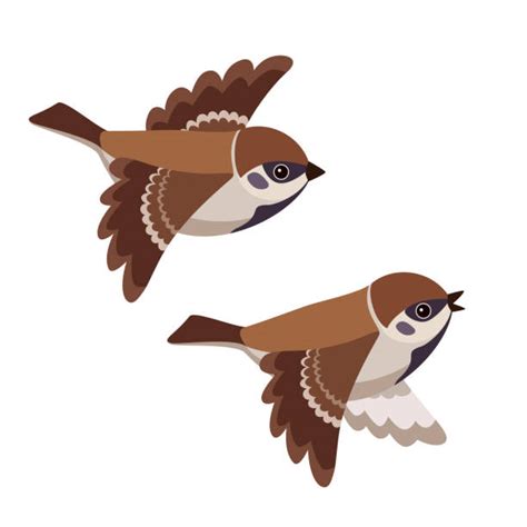 Cartoon Of Swift Bird Illustrations, Royalty-Free Vector Graphics ...