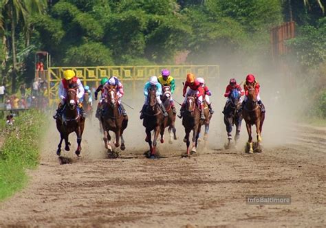 The Ultimate Guide to the Preakness Stakes in Baltimore: History ...