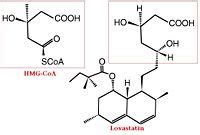 HMG-CoA Reductase - Proteopedia, life in 3D