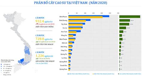 Cây cao su được trồng nhiều nhất ở những tỉnh, vùng nào? - EU-Vietnam ...