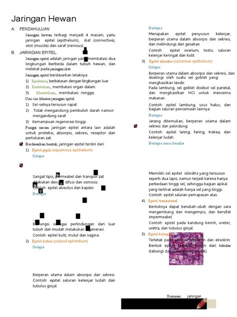 Jaringan Hewan | PDF