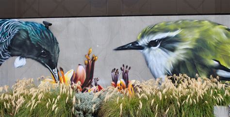 Native Bird Graffiti Art | discoverywall.nz