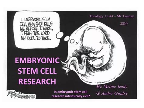 PPT - EMBRYONIC STEM CELL RESEARCH PowerPoint Presentation, free ...