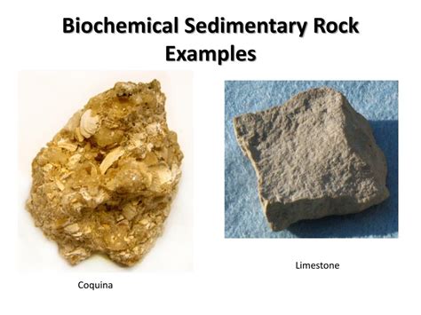 What Is Clastic Sedimentary Rock Used For? Quora, 40% OFF