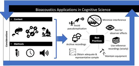 Bioacoustics in cognitive research: Applications, considerations, and ...