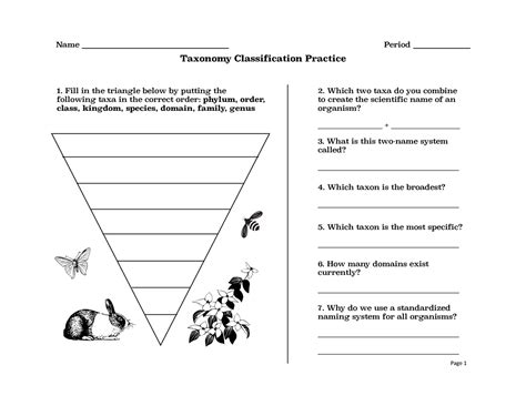 Taxonomy Classification Worksheet-1 - Name Period Taxonomy ... - Worksheets Library