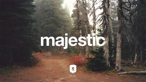 majestic casual wallpaper,nature,natural landscape,tree,natural ...