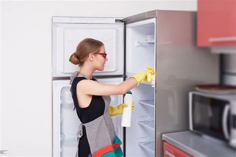 Refrigerator Cleaning Tips: How To Clean Your Fridge Right Way?