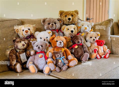 A collection of Steiff Teddy bears of different sizes on display Stock ...