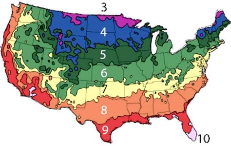 Find your USDA Hardiness Zone w/ ZIP Code