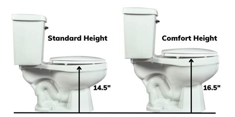 Standard Height vs Comfort Height Toilets | Which To Choose