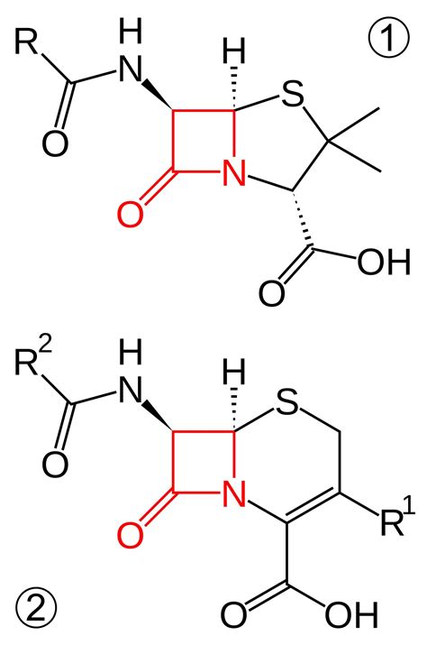 Free Images - beta lactam antibiotics example