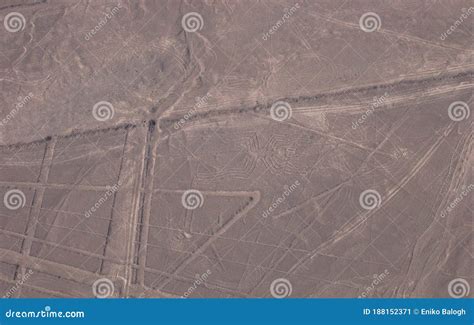 Aerial View of the Famous Nazca Lines from a Small Plane Stock Image ...