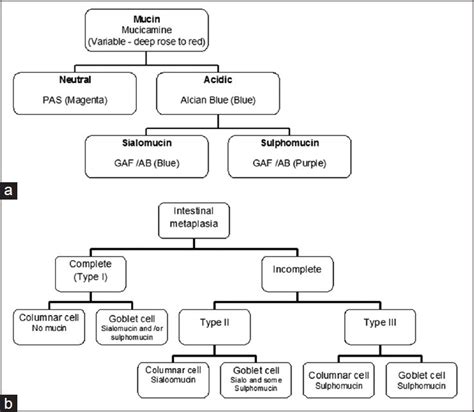 (a) Algorithm of different types mucin, stains for demonstration and... | Download Scientific ...