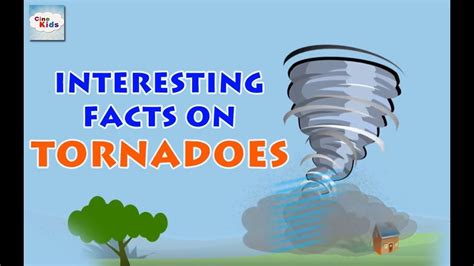 Interesting Facts On Tornadoes | What is a tornado, Tornadoes, Fun facts