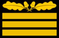 General of the Infantry (Germany) - Wikipedia