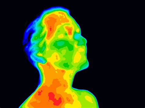 Israeli terror-fighting thermal imaging tech being adapted for medical purposes | The Times of ...