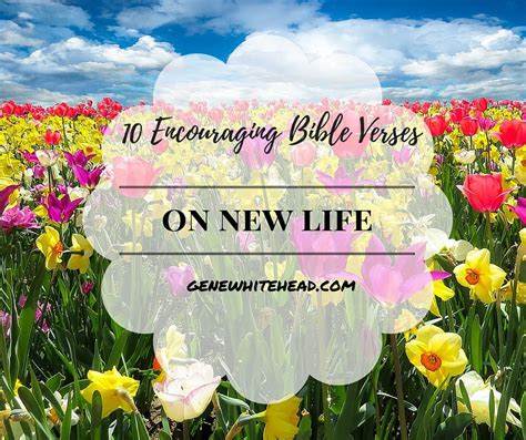 10 Encouraging Bible Verses on New Life • Gene S. Whitehead