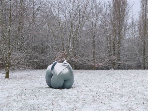 HELLEBORUS NIGER SEED POD - Anne Curry Sculpture