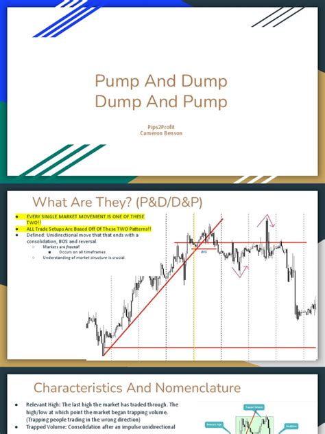 Pump and Dump - Print 1 | PDF | Economies | Private Sector