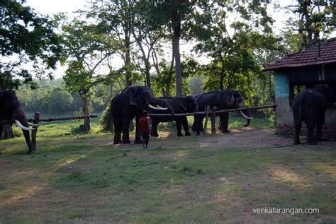 Nagarhole National Park, Kabini