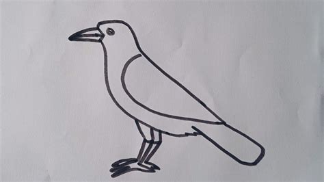 How to draw a Crow/easy and simple drawing step by step/Crow drawing easy way - YouTube