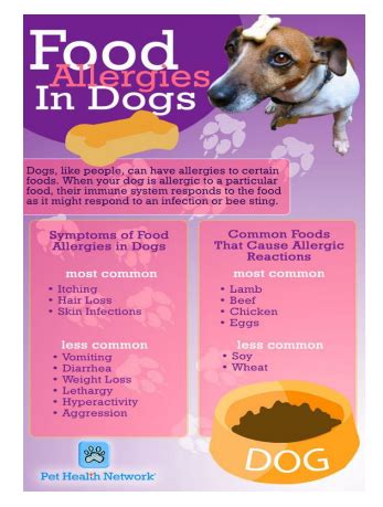 What Are The Symptoms Of A Food Allergy In Dogs