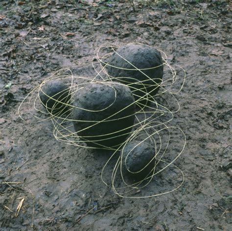 Artist Emulation: Andy Goldsworthy — Sojourn Arts