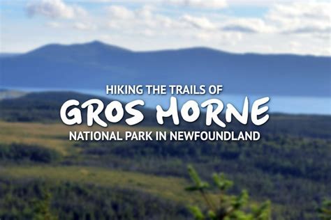 Hiking Gros Morne National Park: 4 Amazing Newfoundland Trails | Gros ...