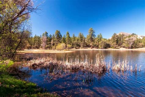 6 Best Camping Spots in the Prescott National Forest