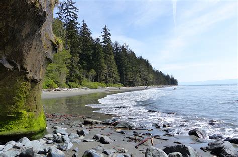 China Beach - Juan De Fuca Provincial park - Handsome Dan