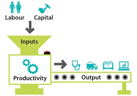 The Production Function | AP Microeconomics Class Notes | Fiveable