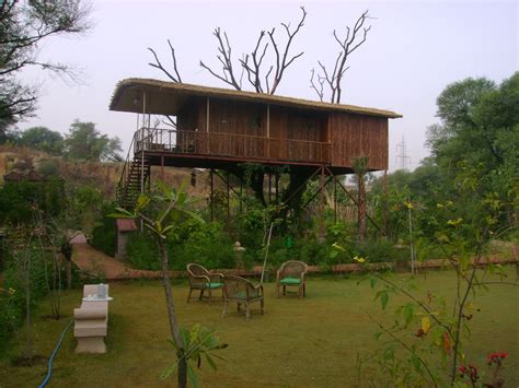 Tree House Resort - Jaipur, India