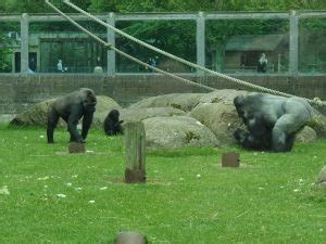 A Belated Visit to Blackpool Zoo for My Birthday – Project 1