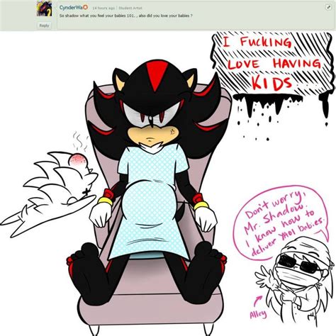 ASTH #87 by alleycatwoman127 on DeviantArt | Sonic and shadow, Shadow the hedgehog, Cartoon ...